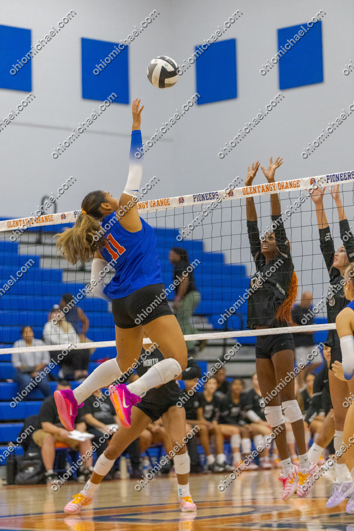 Olentangy Orange HS Girls Varsity Volleyball vs Pickerington North HS — photo 01m278vz5rdg63qqsvjym4je5s