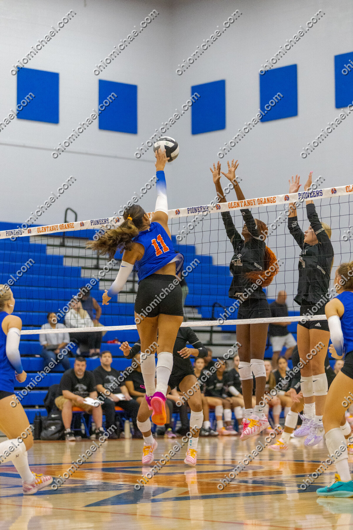 Olentangy Orange HS Girls Varsity Volleyball vs Pickerington North HS — photo 01m278w1320pnhwdzq8dc0prbm