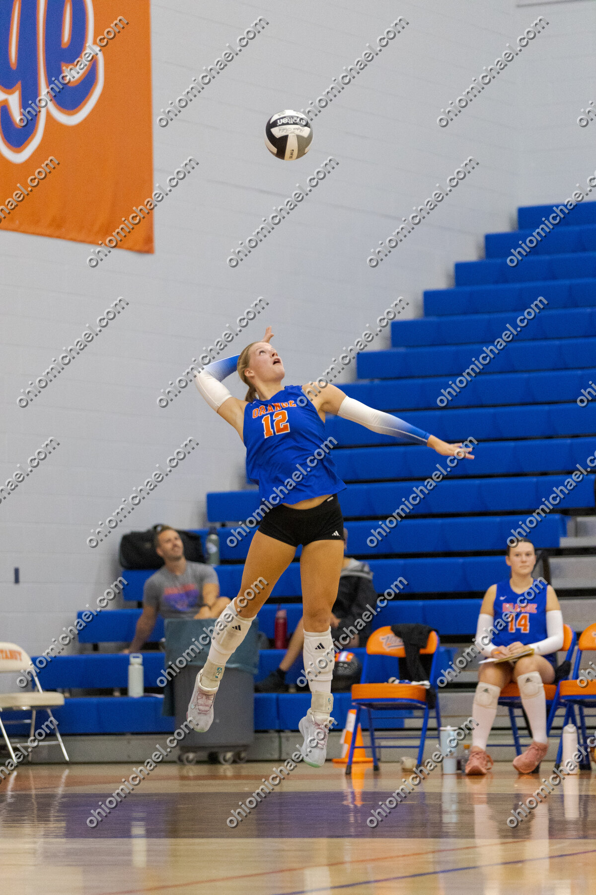 Olentangy Orange HS Girls Varsity Volleyball vs Pickerington North HS — photo 01m278yfw3jz24jnc4r61tx4va