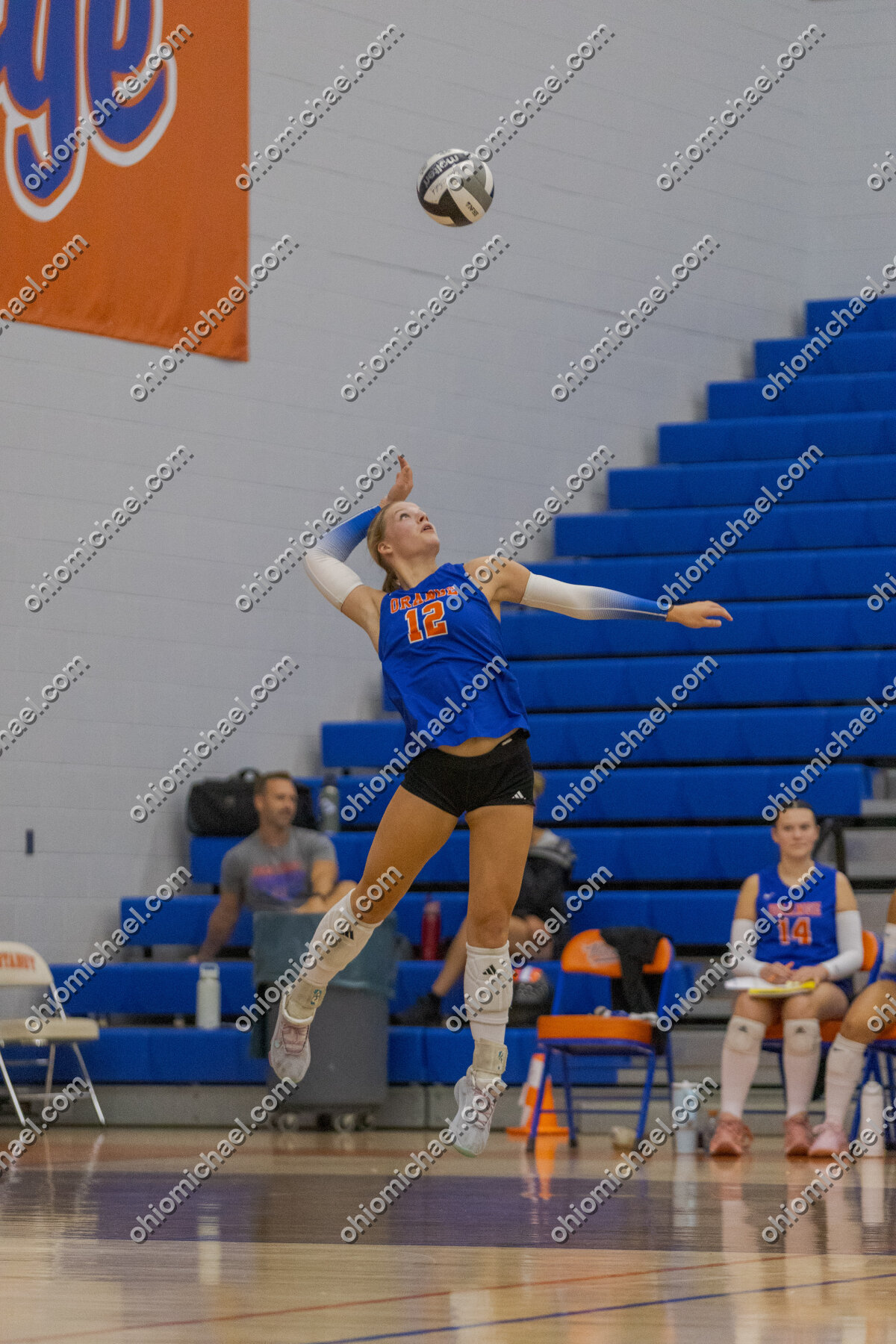 Olentangy Orange HS Girls Varsity Volleyball vs Pickerington North HS — photo 01m278yk7ecksf0nx38f1cry75