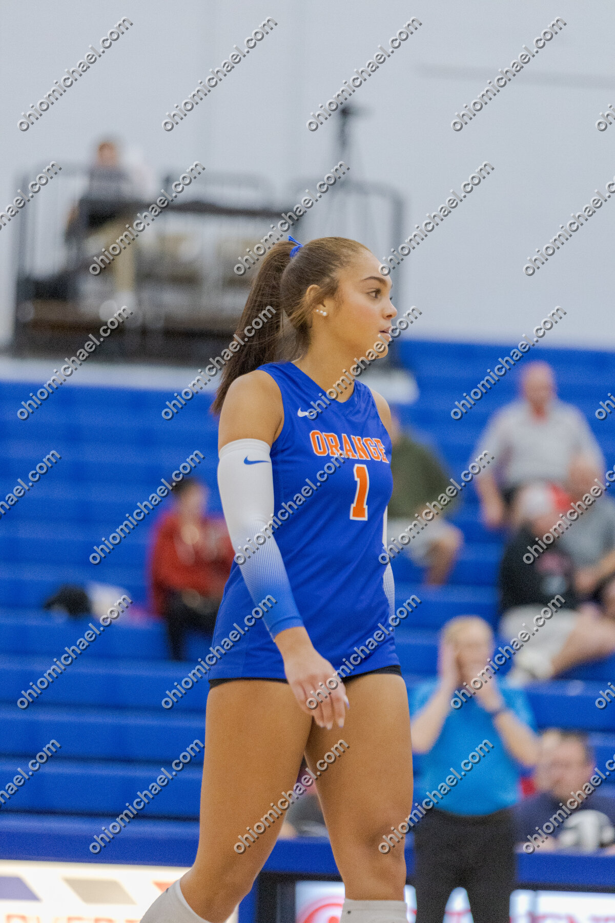 Olentangy Orange HS Girls Varsity Volleyball vs Pickerington North HS — photo 01m278zvze2w343nbj03gj1ajg
