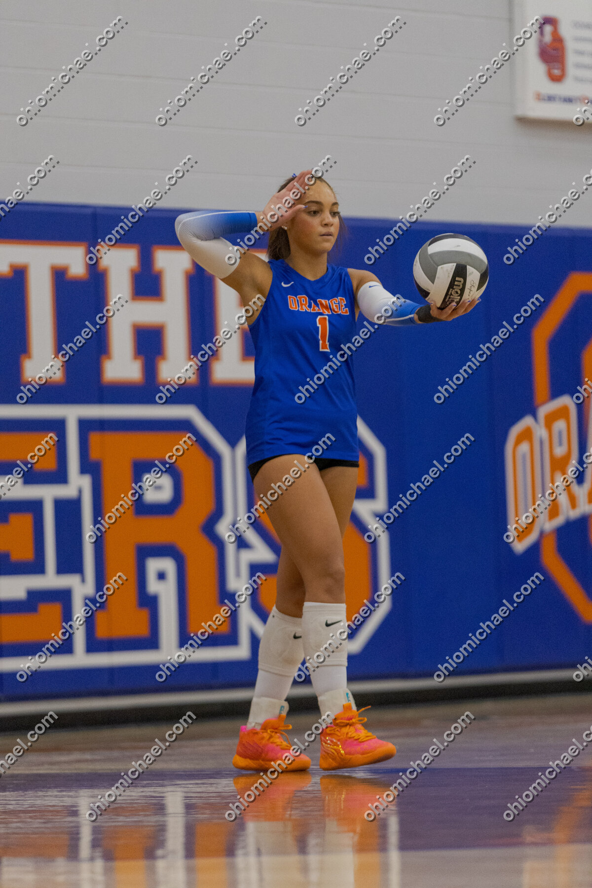 Olentangy Orange HS Girls Varsity Volleyball vs Pickerington North HS — photo 01m2790m6jgkny2x1h9q43ys8k