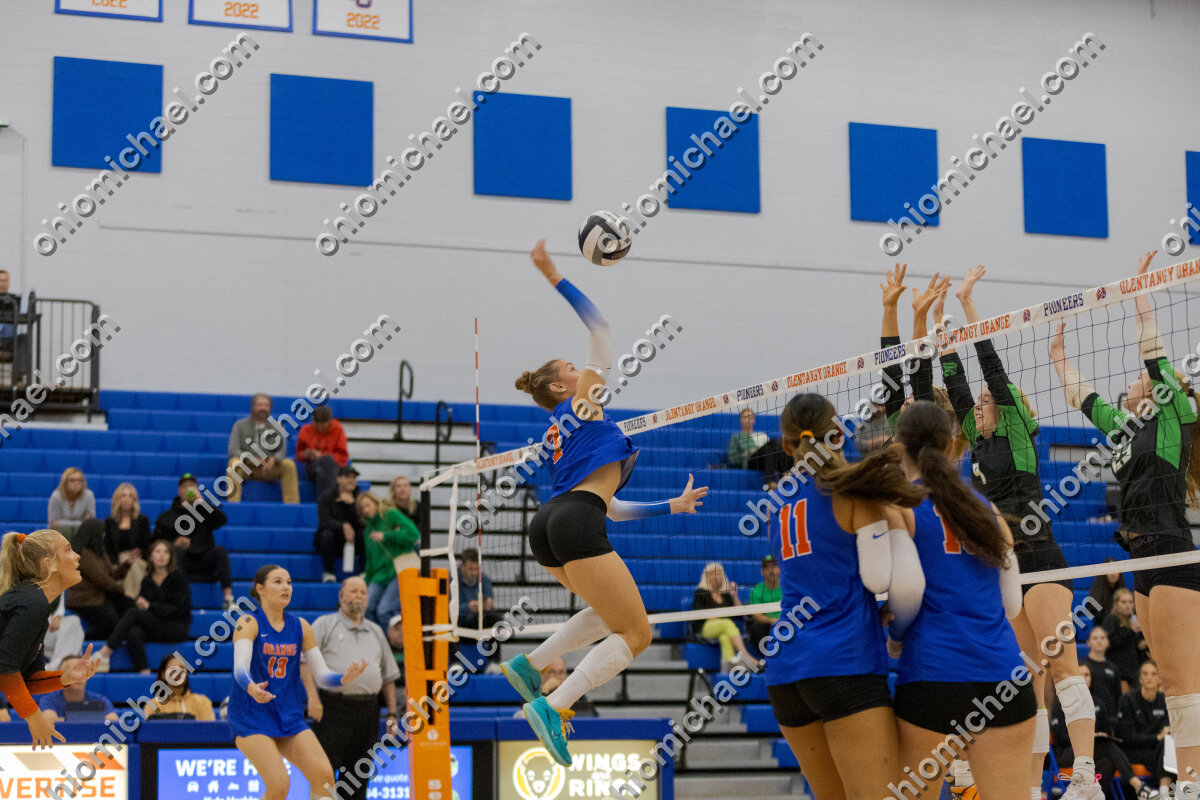 Olentangy Orange HS Girls Varsity Volleyball vs Dublin Coffman HS — photo 01m4a4rme9bsd8dxakd846zka1