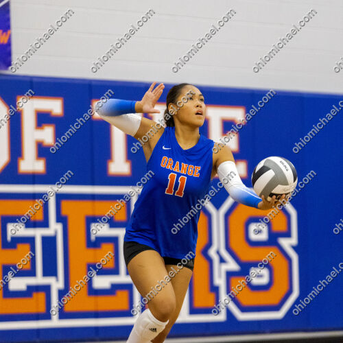 Olentangy Orange HS Girls Varsity Volleyball vs Pickerington North HS — photo 01m278z5kkv3bz59f59hm5hcrg