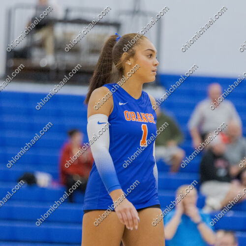 Olentangy Orange HS Girls Varsity Volleyball vs Pickerington North HS — photo 01m278zvze2w343nbj03gj1ajg