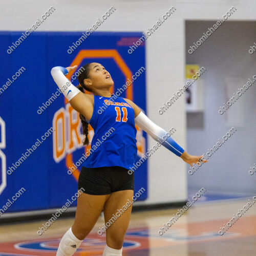 Olentangy Orange HS Girls Varsity Volleyball vs Pickerington North HS — photo 01m2793bb8gkhy46f4q7vmhbsp