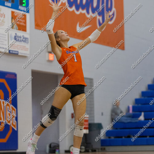 Olentangy Orange HS Girls JV Volleyball vs Dublin Coffman HS — photo 01m4a4mveadt30j9ax0nb9aq8f